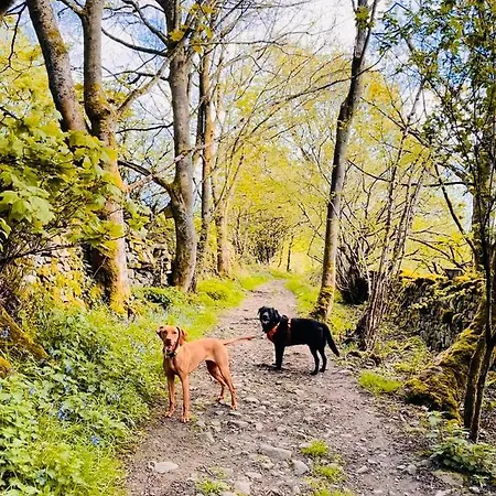 Casa vacanze The Old Barn