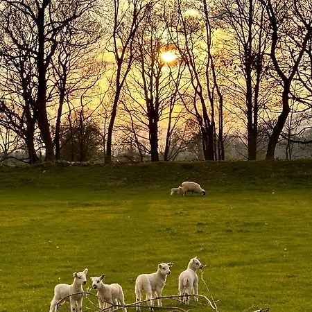 The Old Barn Casa vacanze Reeth