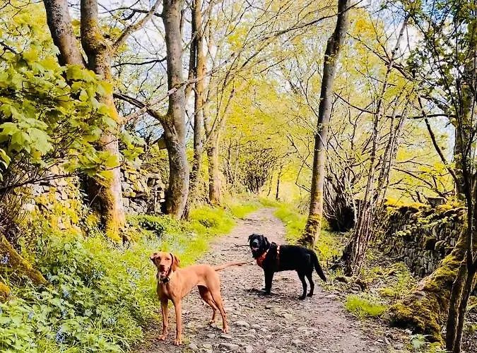 度假居 The Old Barn
