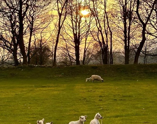 The Old Barn 度假居 里斯